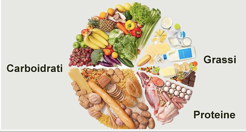 I PRINCIPI NUTRITIVI: I MACRONUTRIENTI